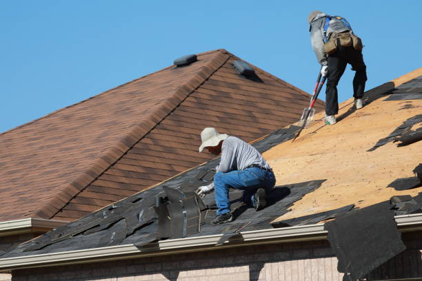 Best Asphalt Shingle Roofing  in Clearlake, CA
